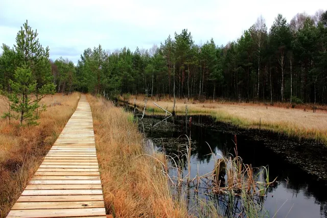 Borkovická blata – přírodní rezervace v okolí Statku Žíšov 1